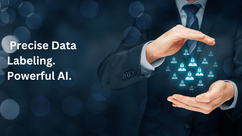 Precise Data Labeling. Powerful AI.